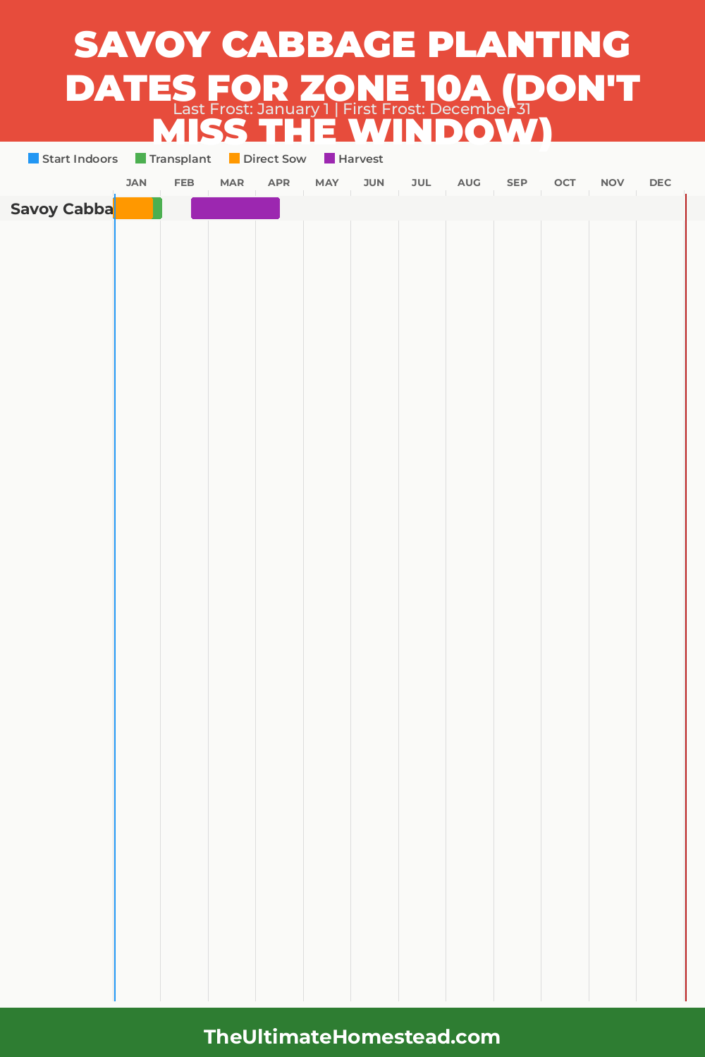 When to Plant Savoy Cabbage in Zone 10a