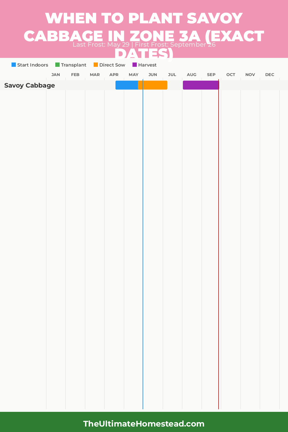 When to Plant Savoy Cabbage in Zone 3a