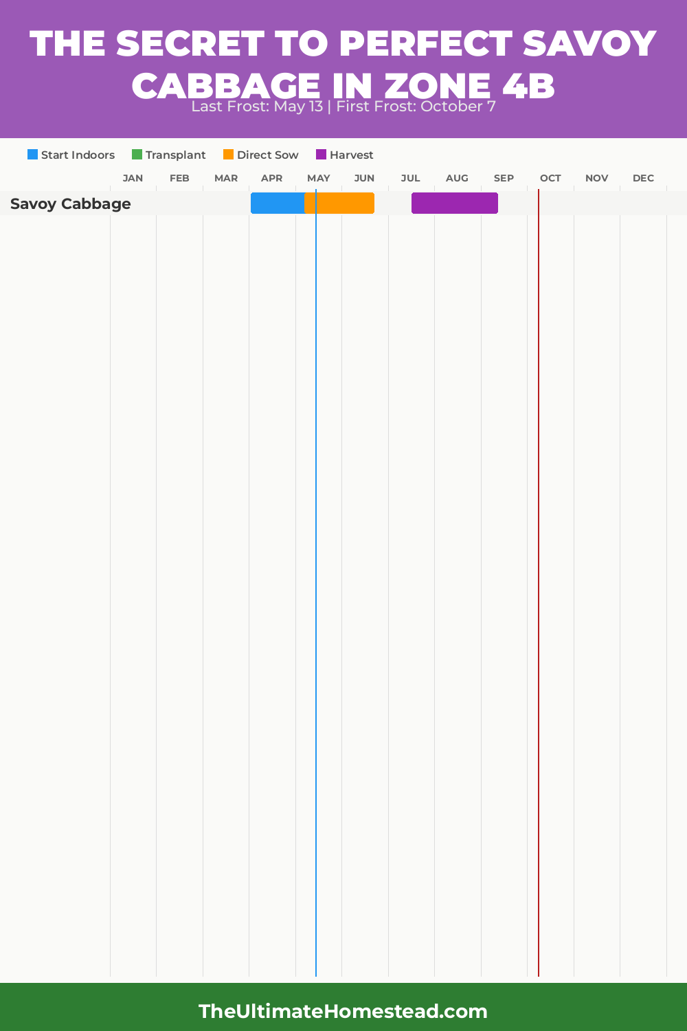 When to Plant Savoy Cabbage in Zone 4b