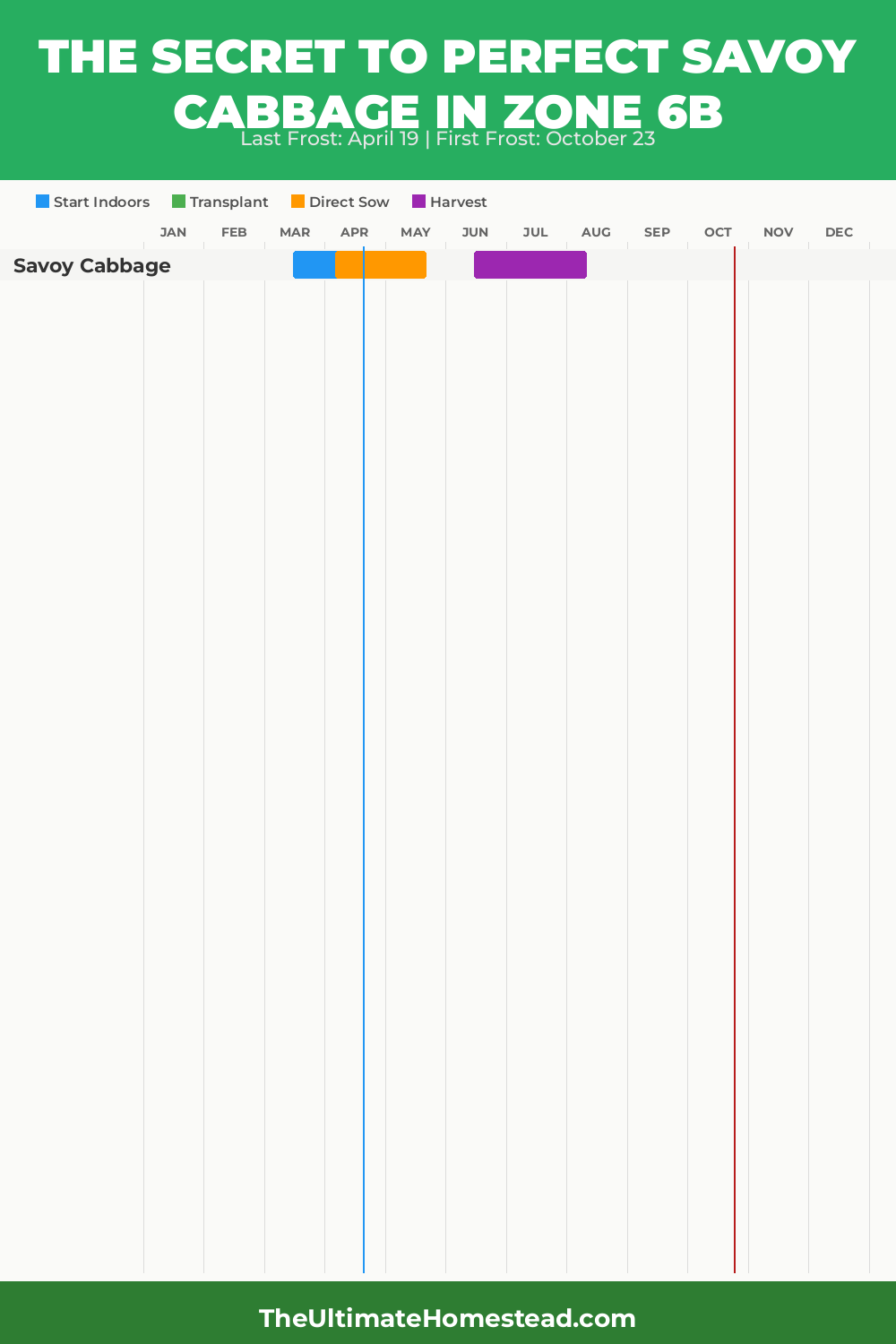When to Plant Savoy Cabbage in Zone 6b