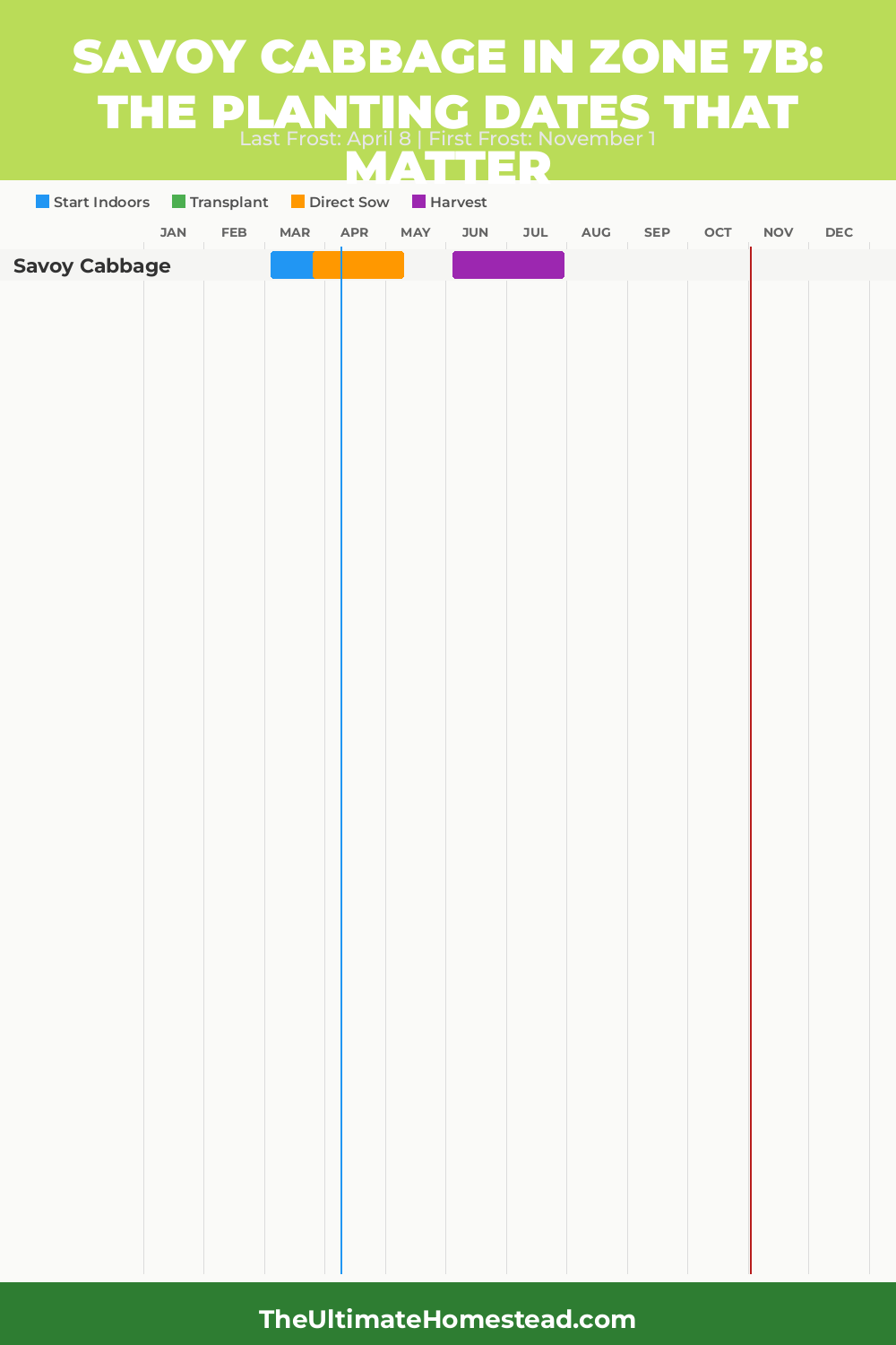 When to Plant Savoy Cabbage in Zone 7b