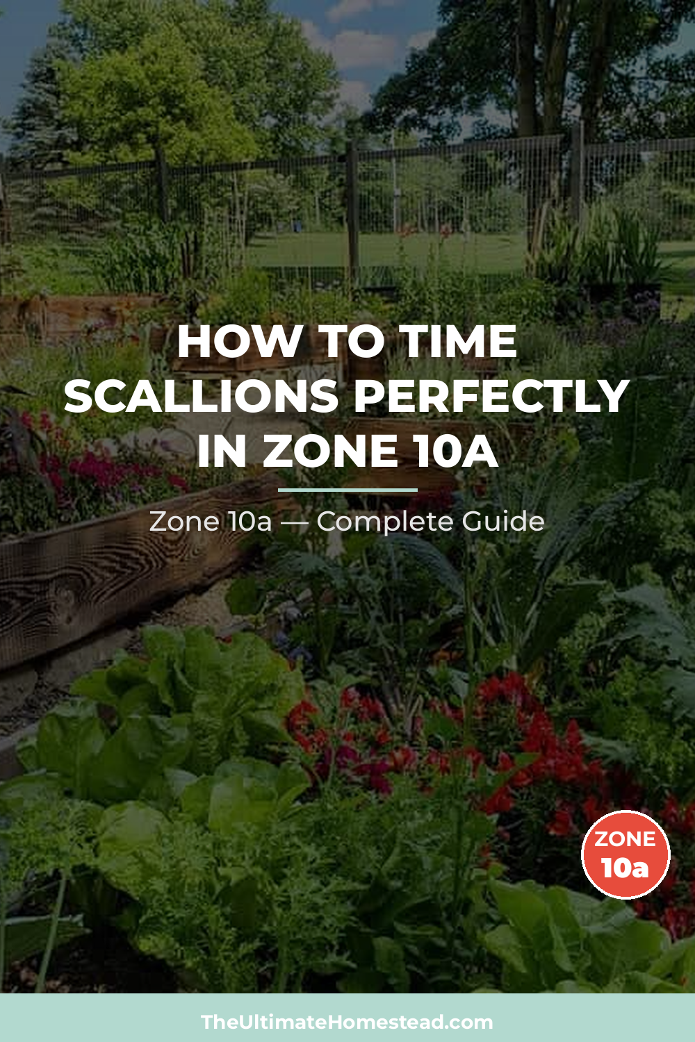 When to Plant Scallions in Zone 10a