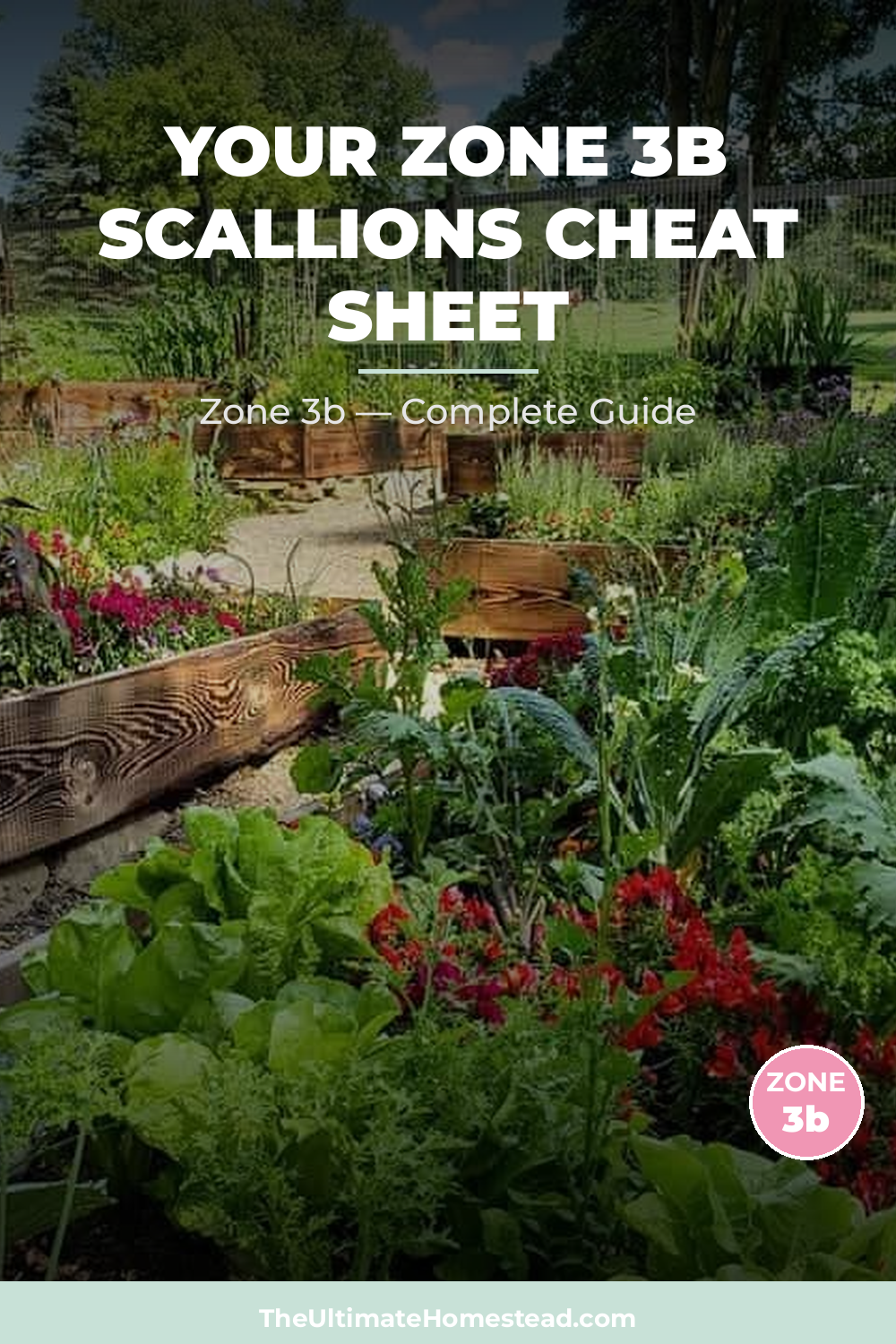 When to Plant Scallions in Zone 3b