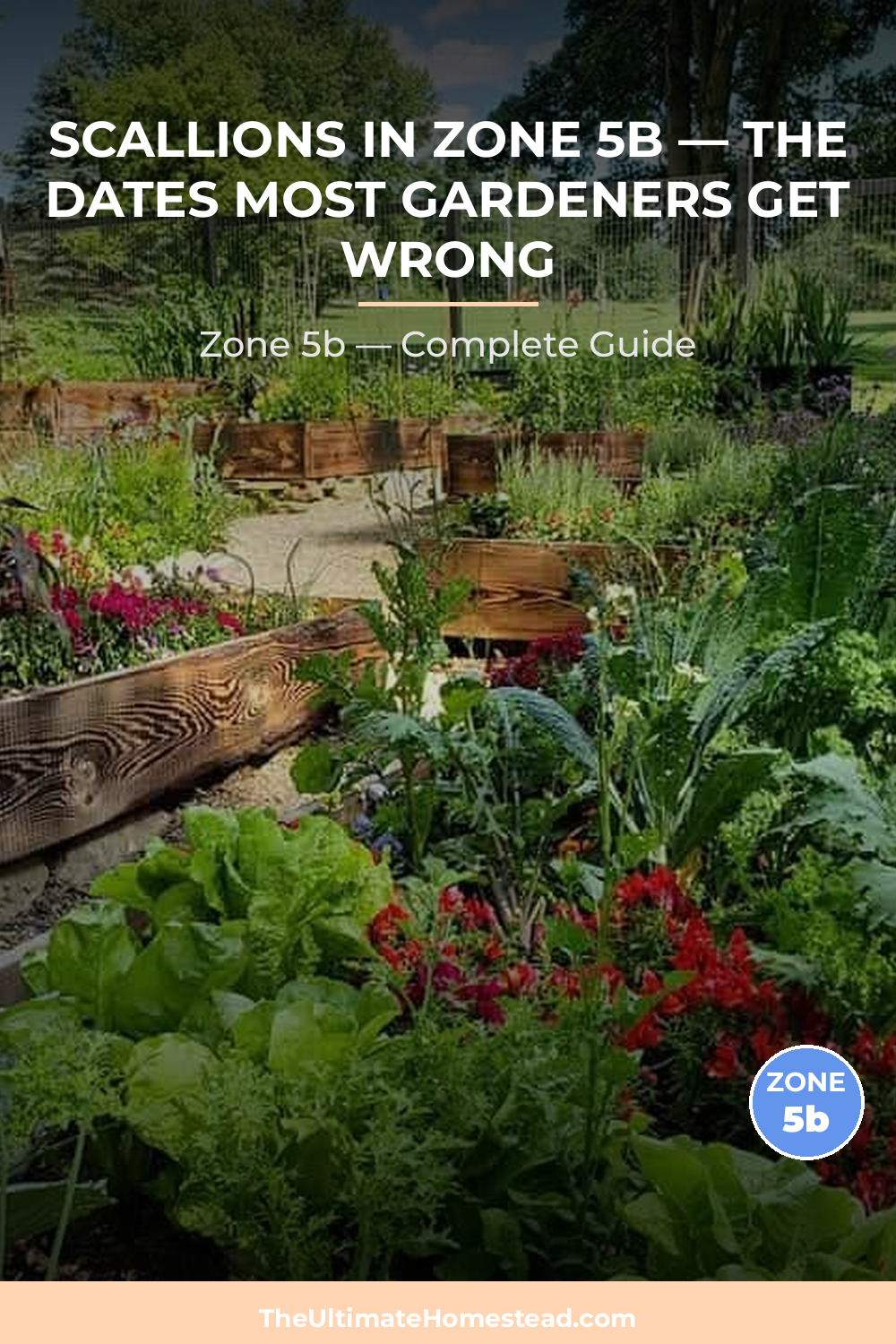 When to Plant Scallions in Zone 5b