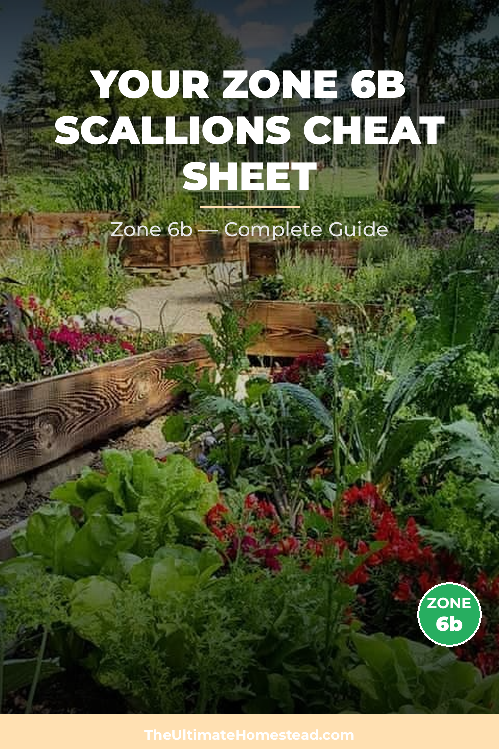 When to Plant Scallions in Zone 6b
