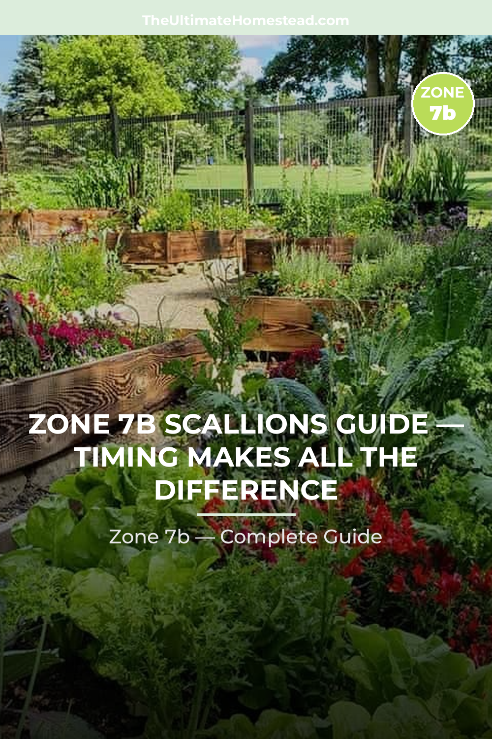 When to Plant Scallions in Zone 7b