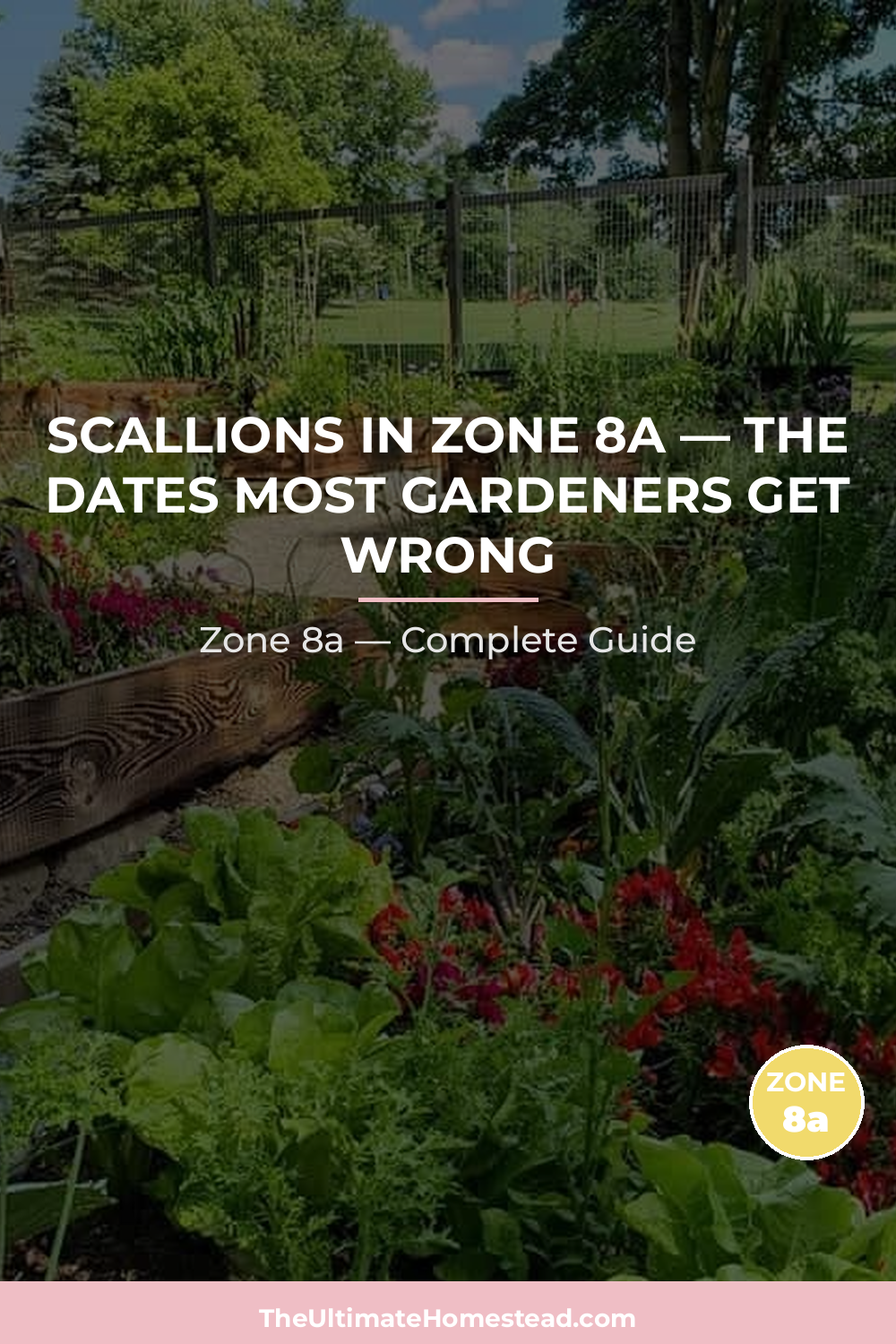 When to Plant Scallions in Zone 8a