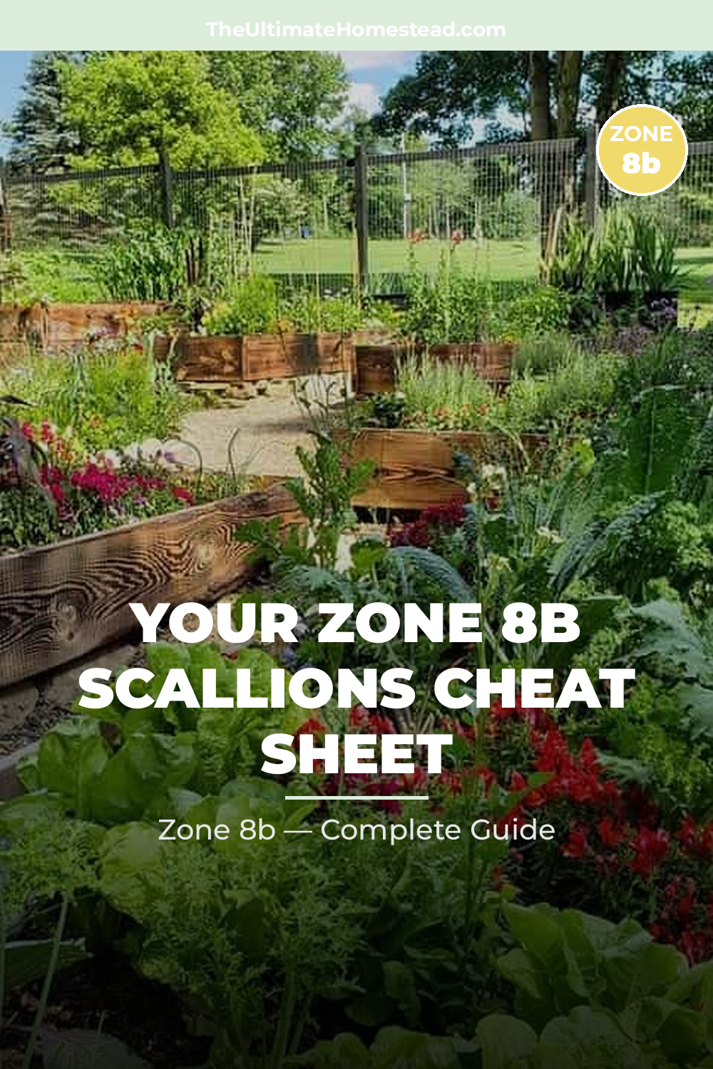 When to Plant Scallions in Zone 8b