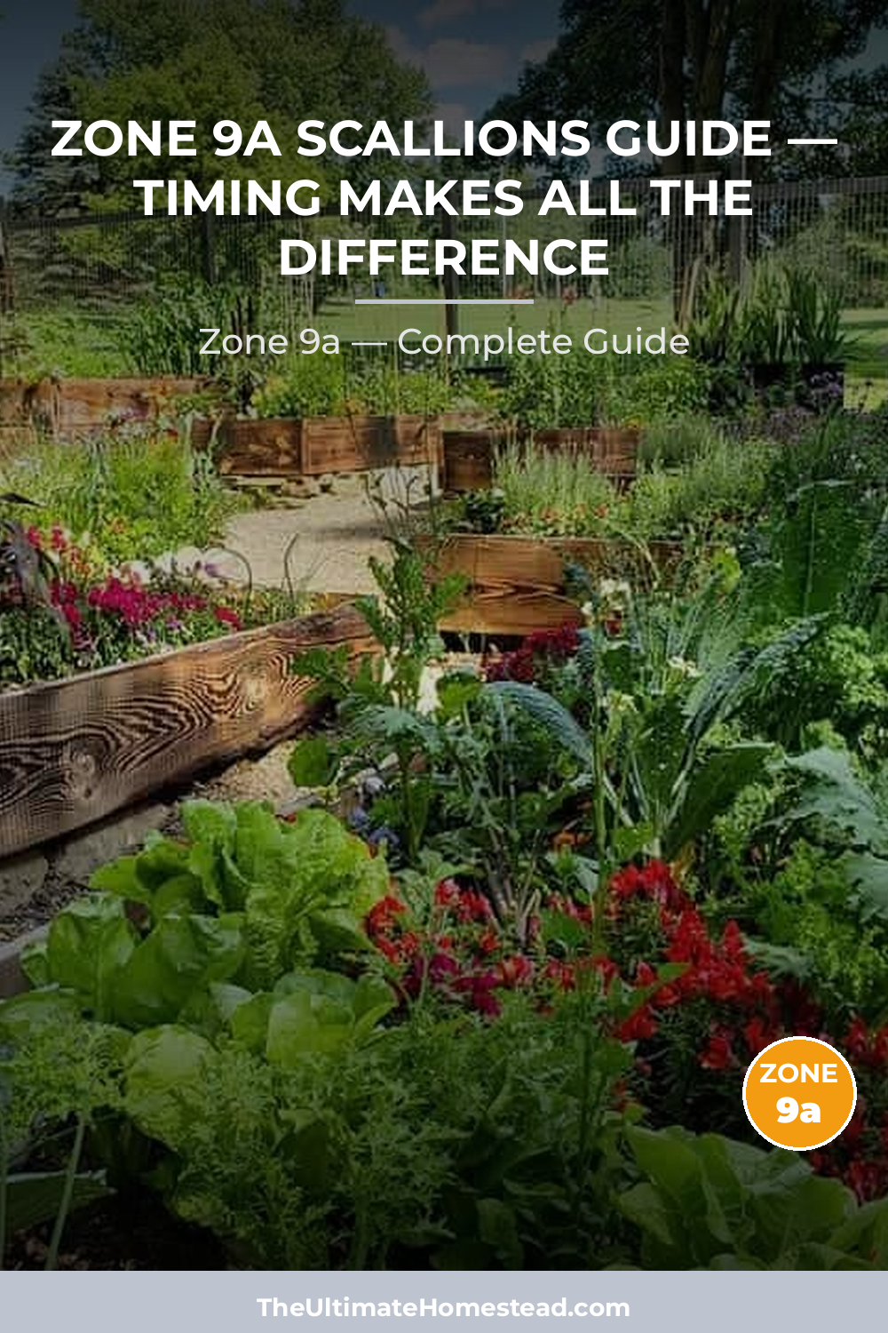 When to Plant Scallions in Zone 9a