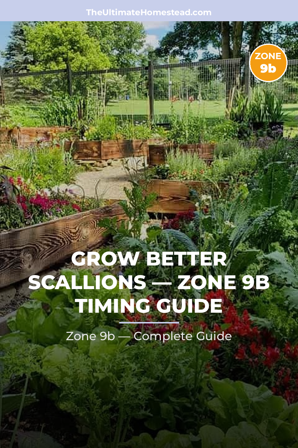 When to Plant Scallions in Zone 9b