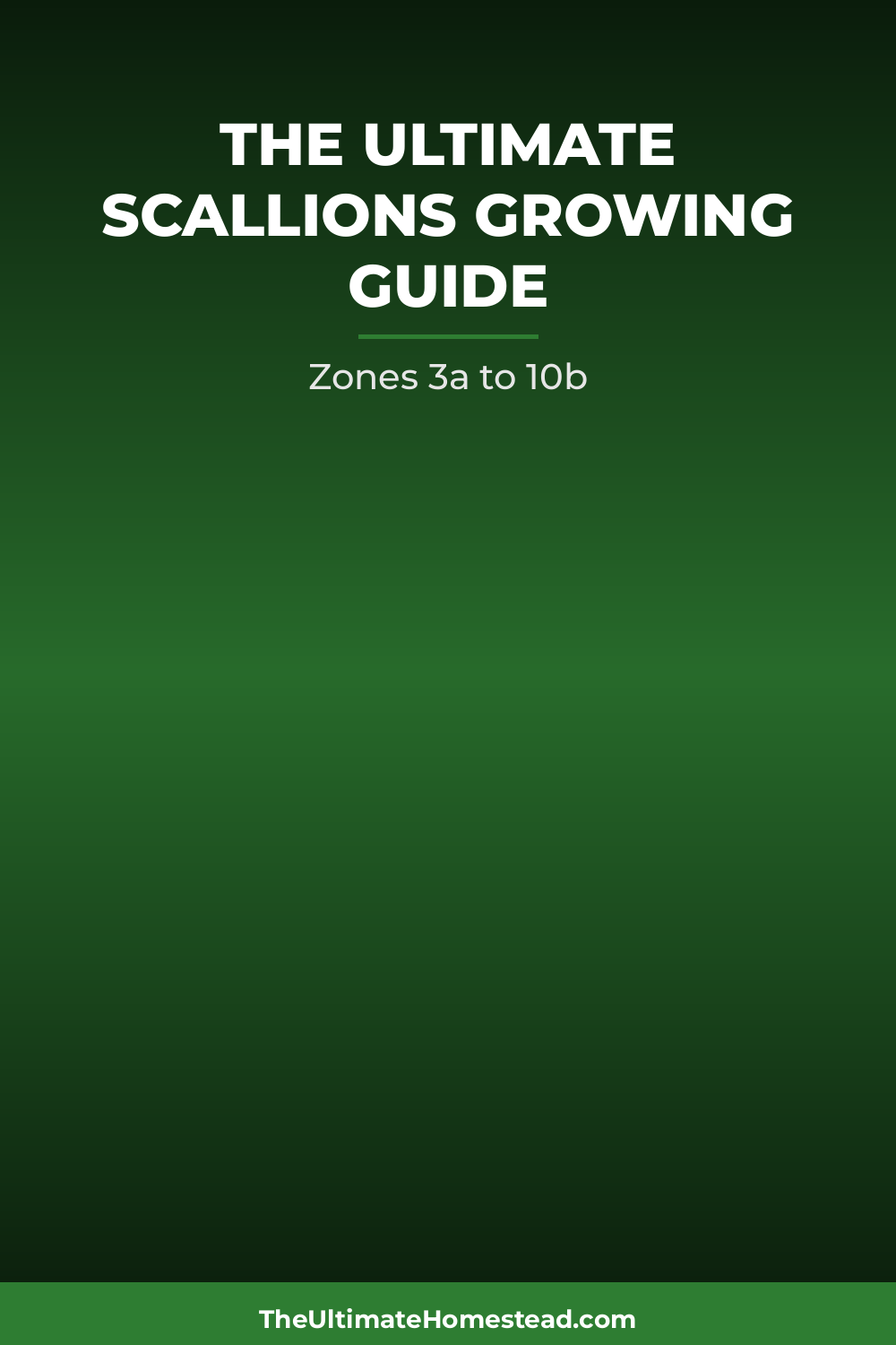 Scallions Planting Guide