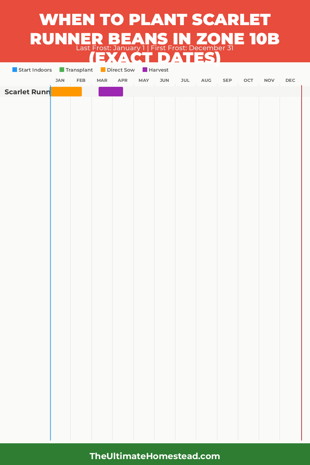 When to Plant Scarlet Runner Beans in Zone 10b