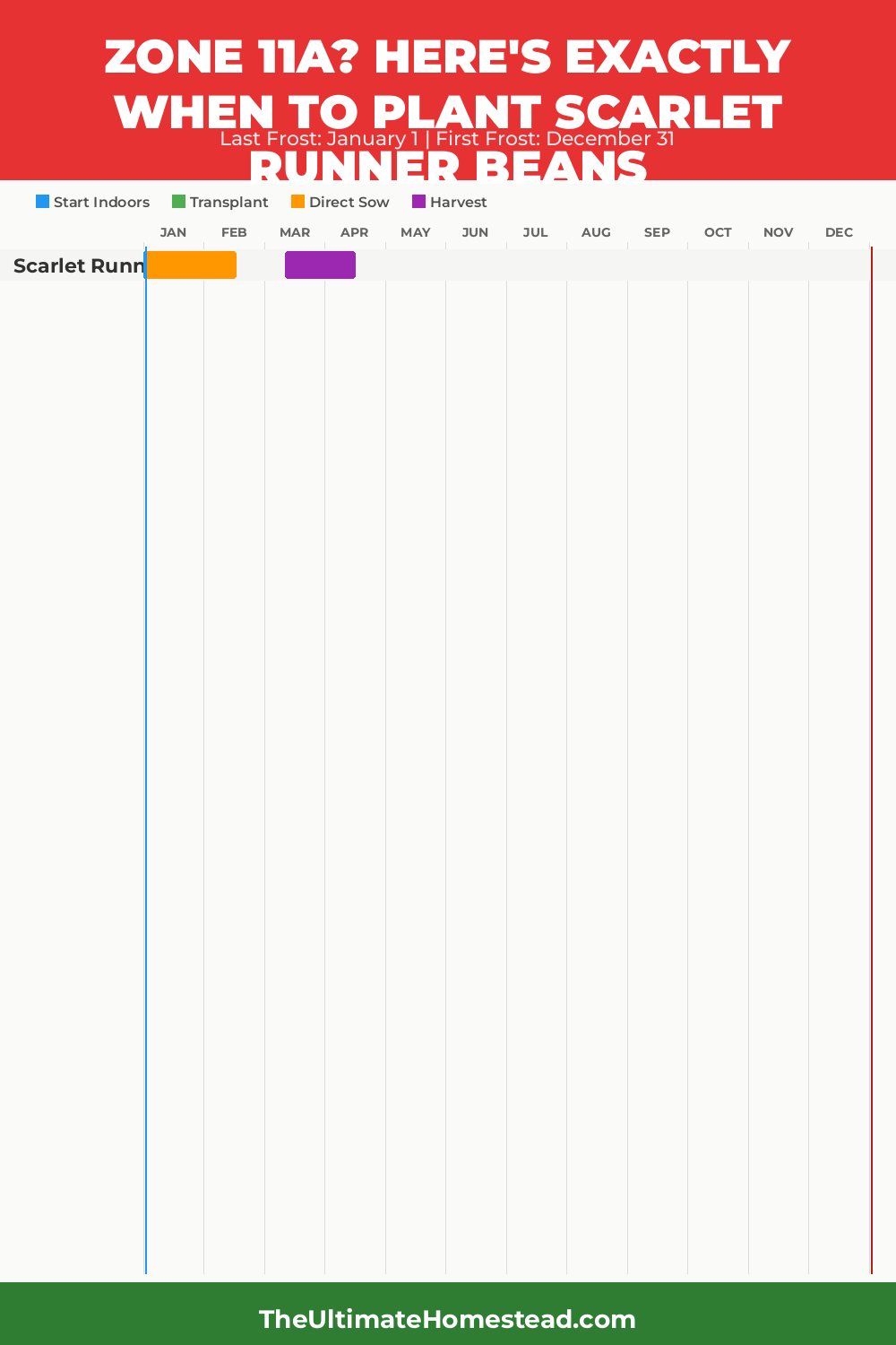 When to Plant Scarlet Runner Beans in Zone 11a