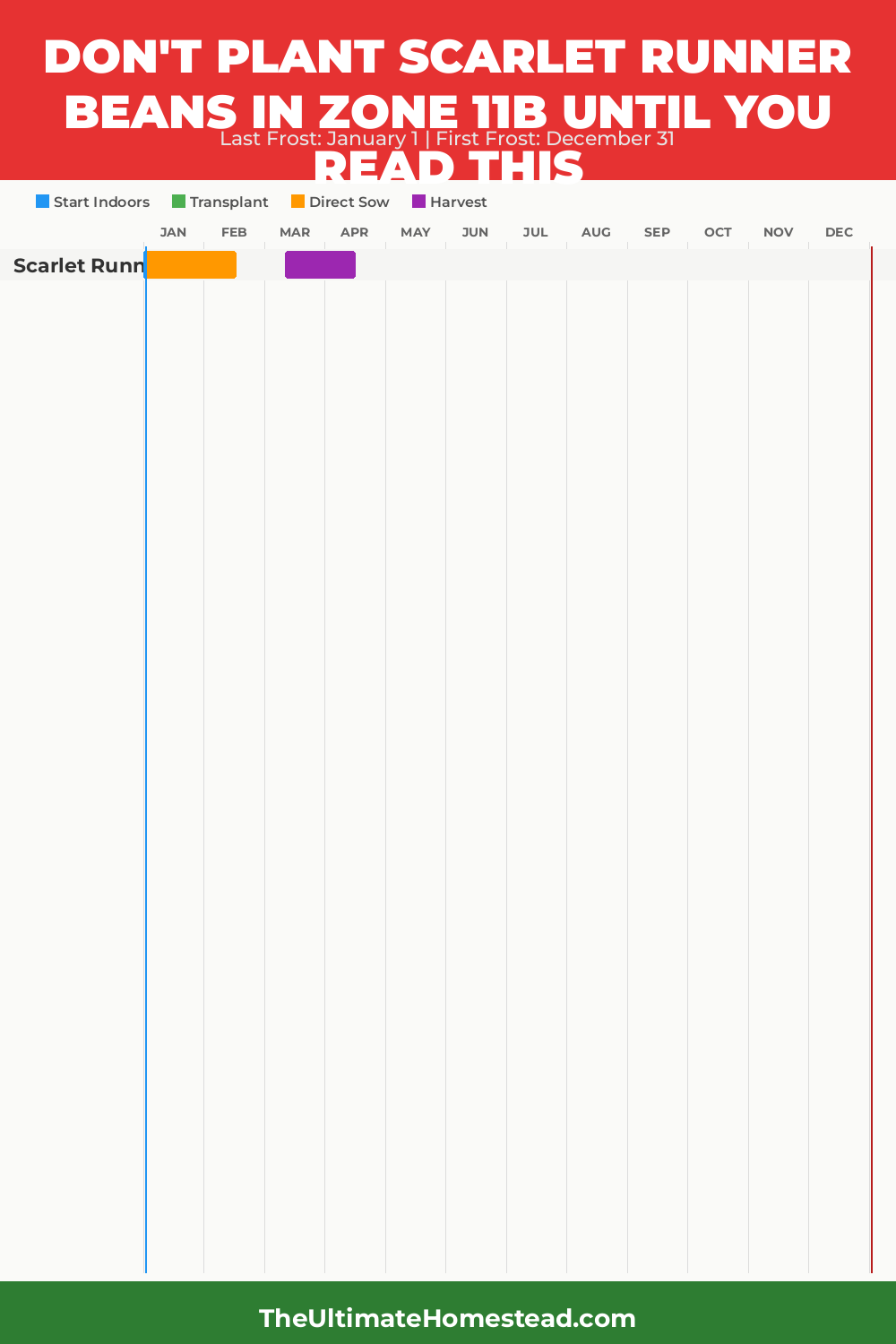 When to Plant Scarlet Runner Beans in Zone 11b