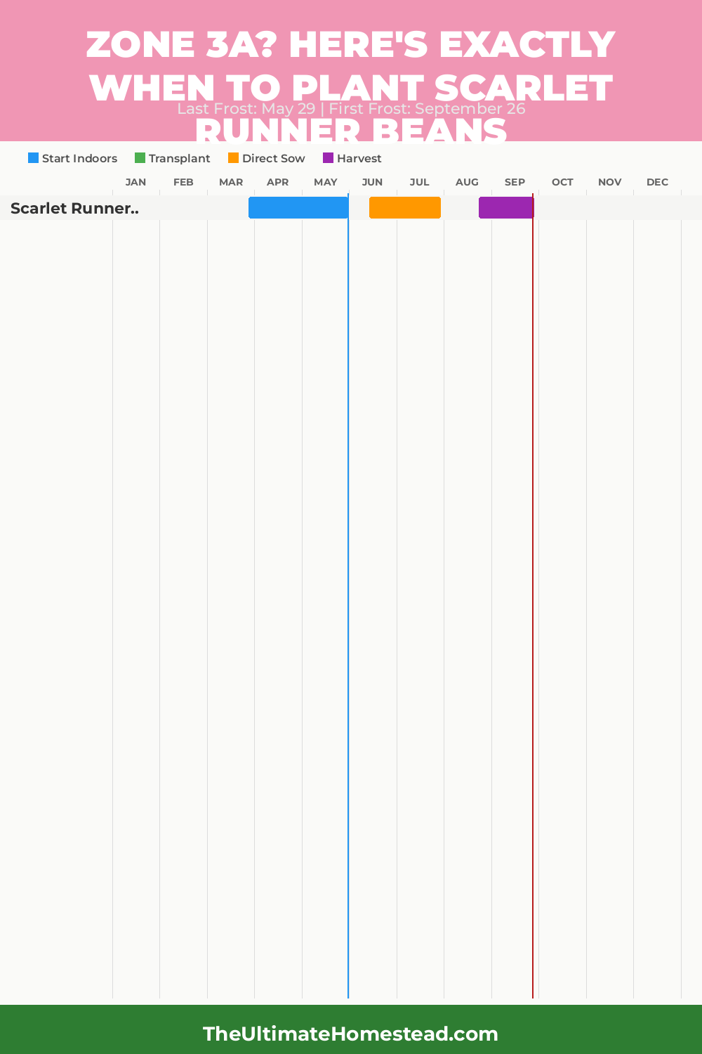 When to Plant Scarlet Runner Beans in Zone 3a