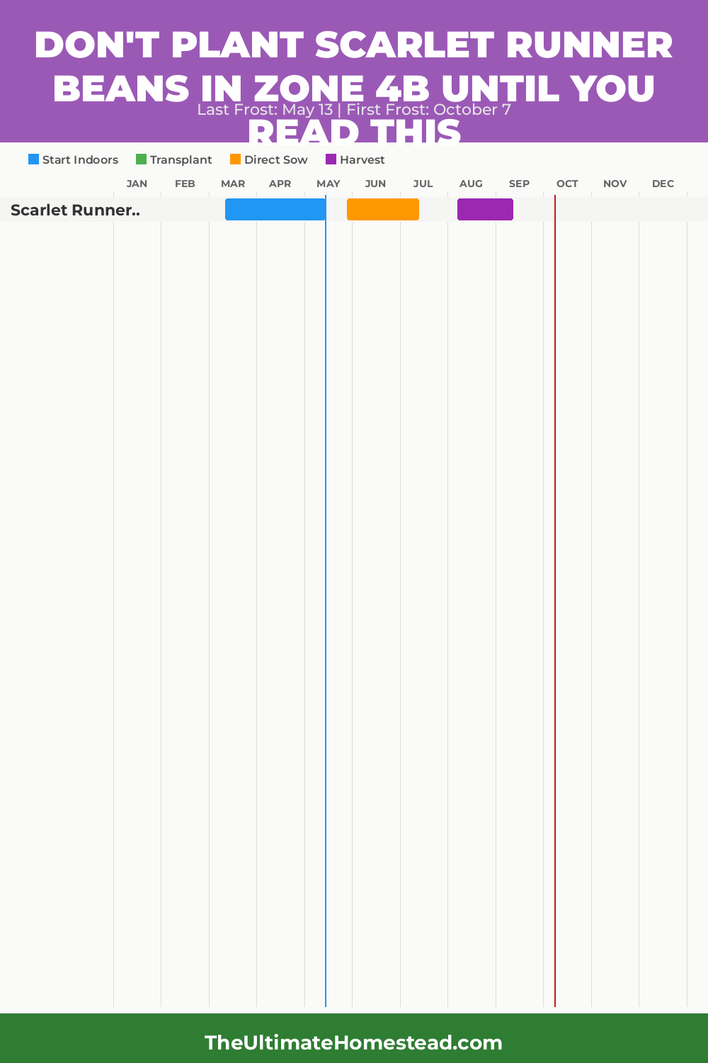 When to Plant Scarlet Runner Beans in Zone 4b
