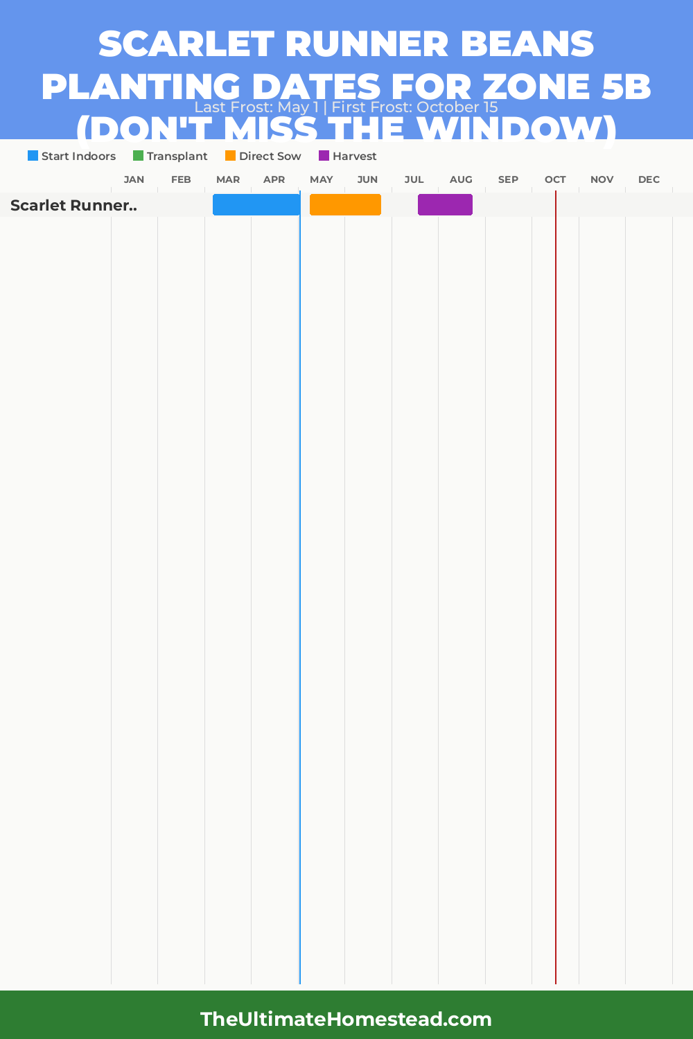 When to Plant Scarlet Runner Beans in Zone 5b