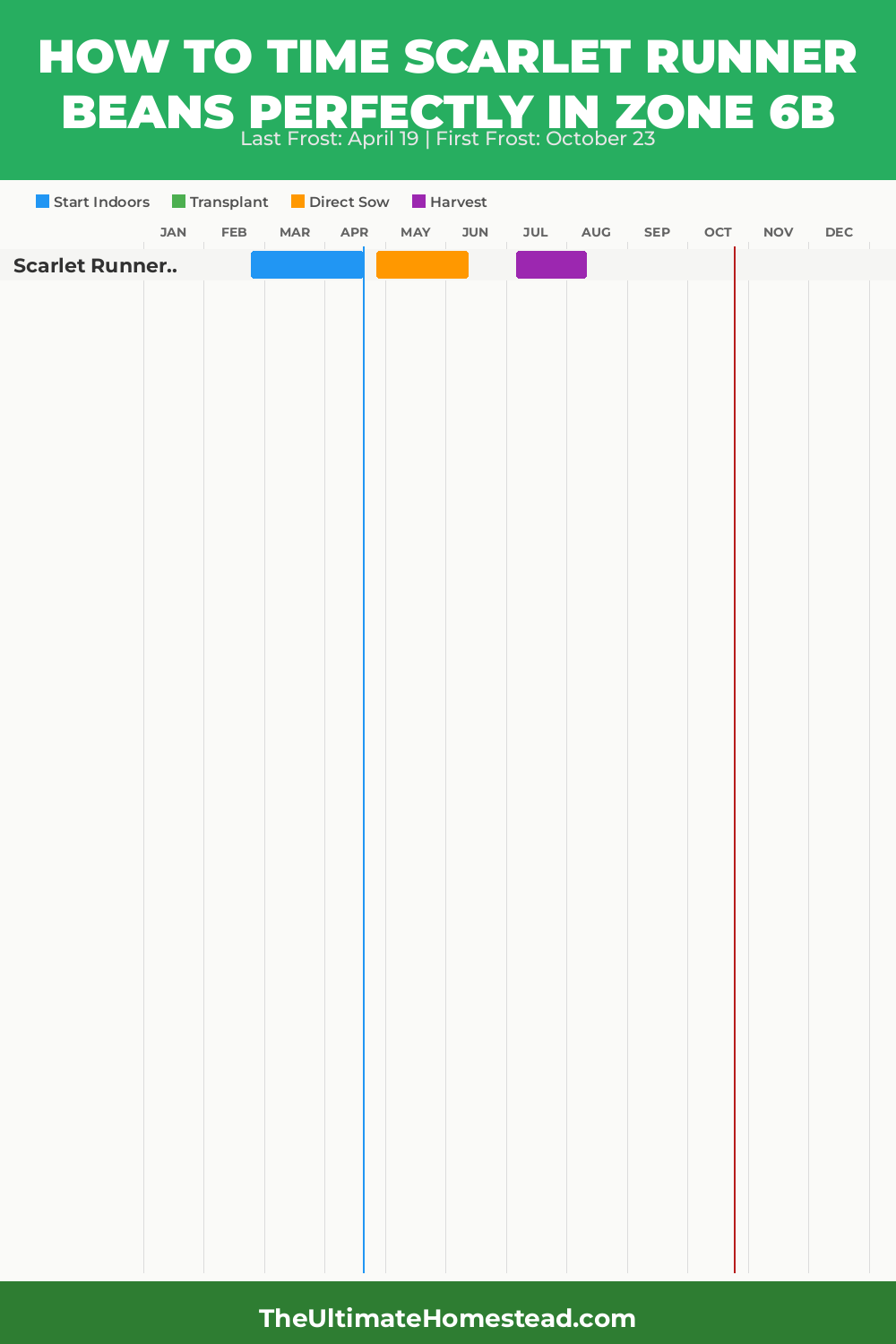 When to Plant Scarlet Runner Beans in Zone 6b