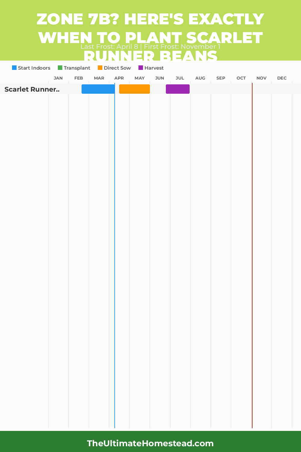 When to Plant Scarlet Runner Beans in Zone 7b