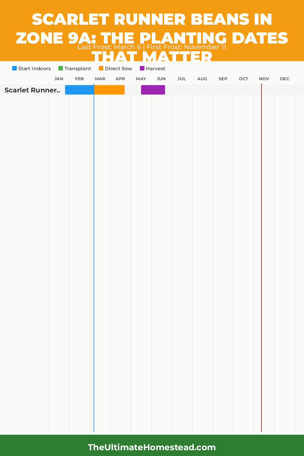 When to Plant Scarlet Runner Beans in Zone 9a