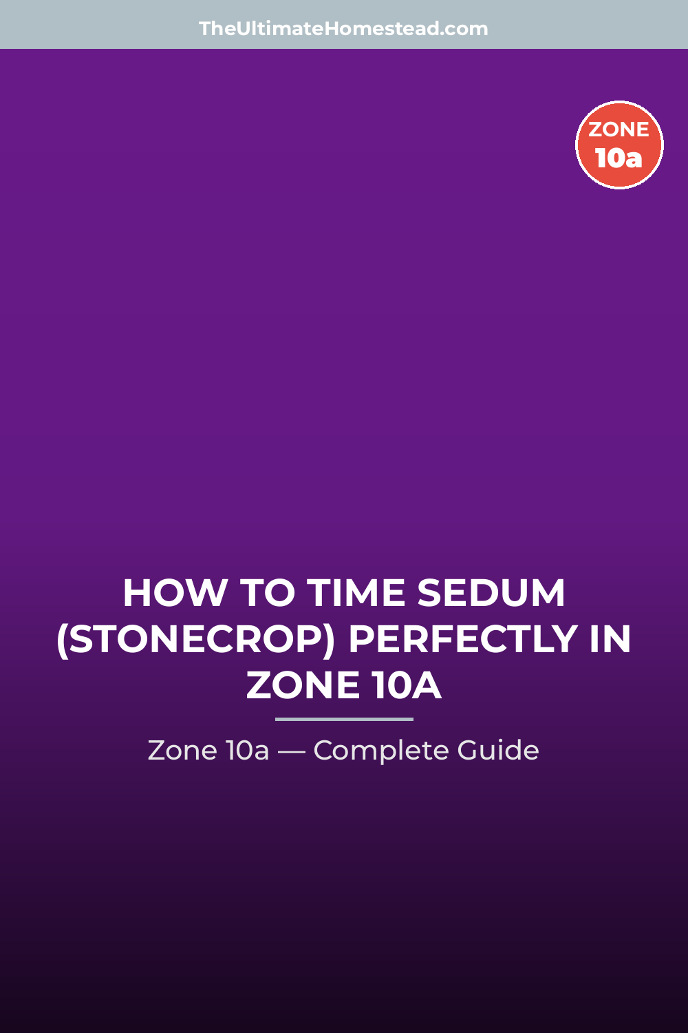 When to Plant Sedum (Stonecrop) in Zone 10a