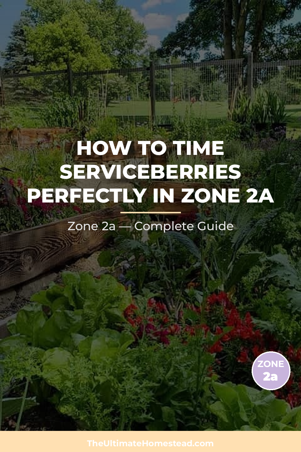 When to Plant Serviceberries in Zone 2a