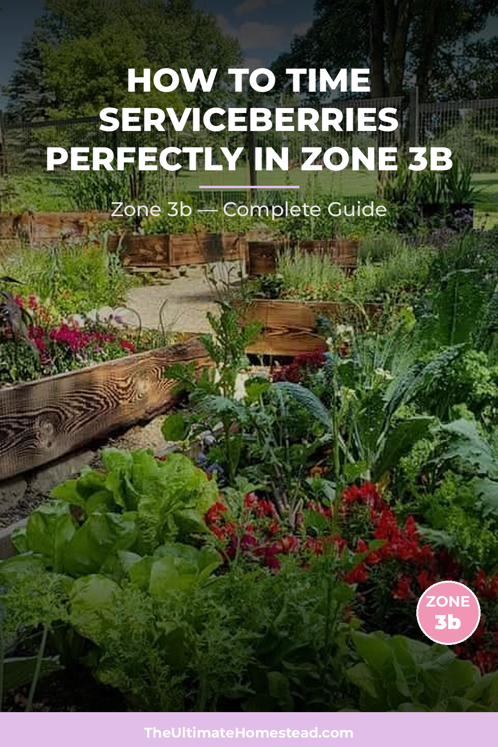 When to Plant Serviceberries in Zone 3b