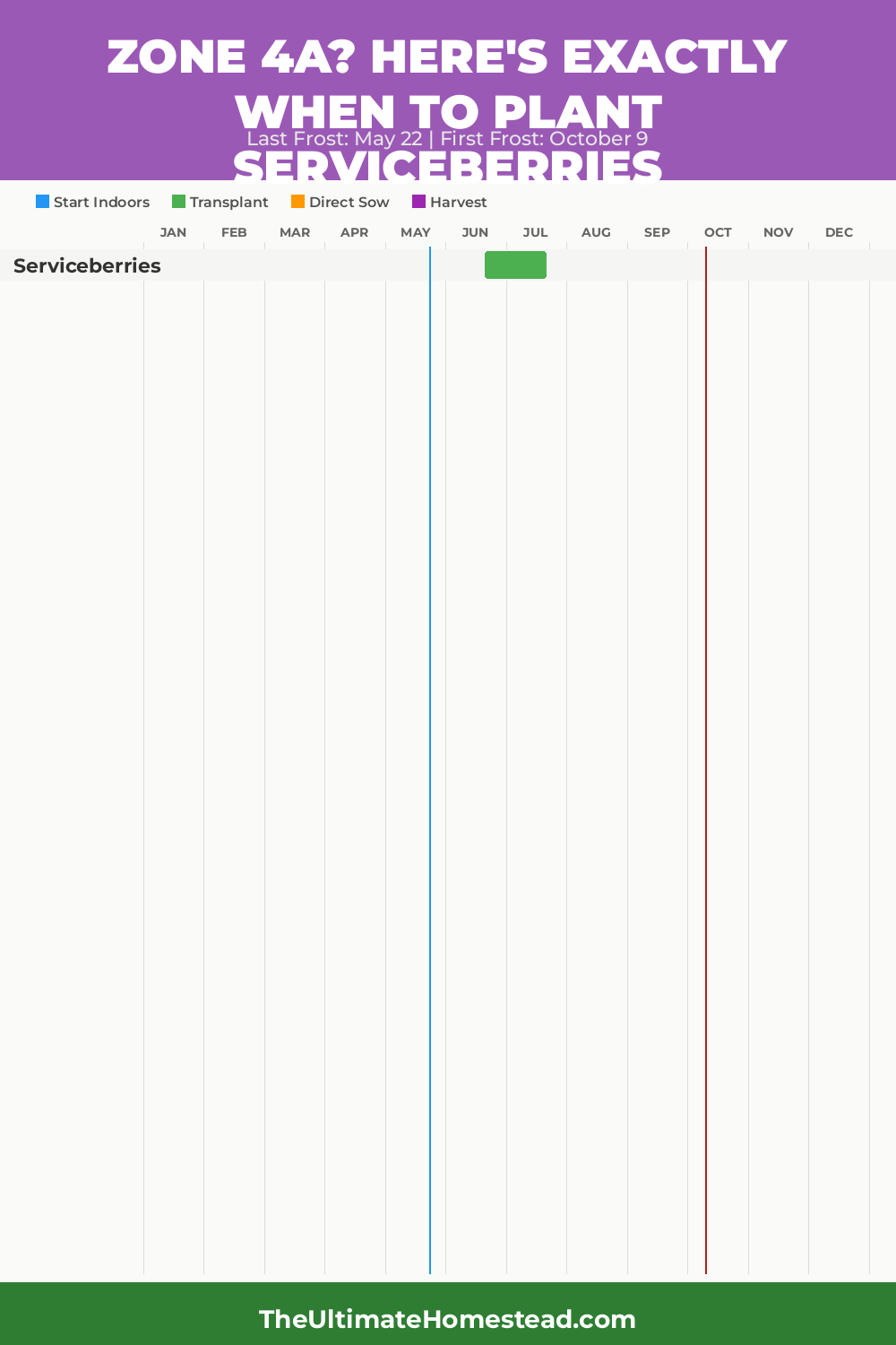 When to Plant Serviceberries in Zone 4a