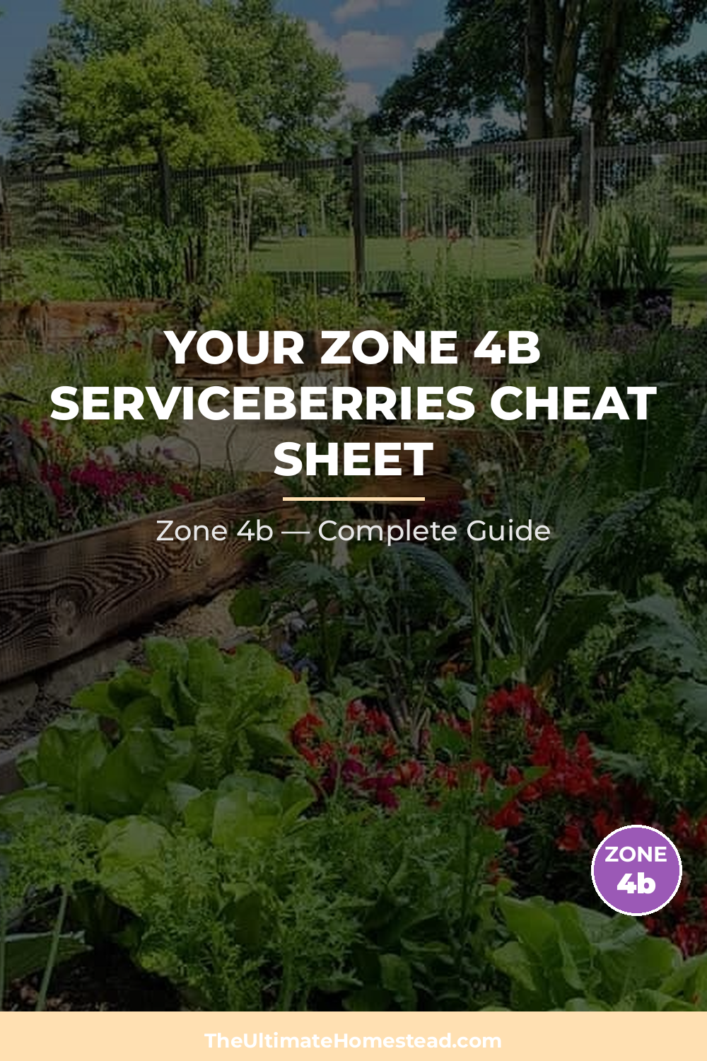 When to Plant Serviceberries in Zone 4b