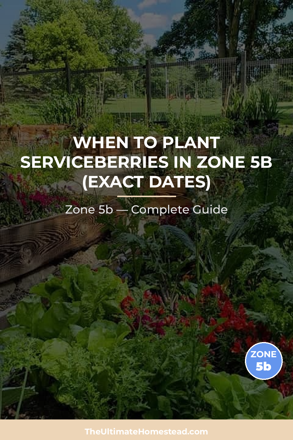 When to Plant Serviceberries in Zone 5b