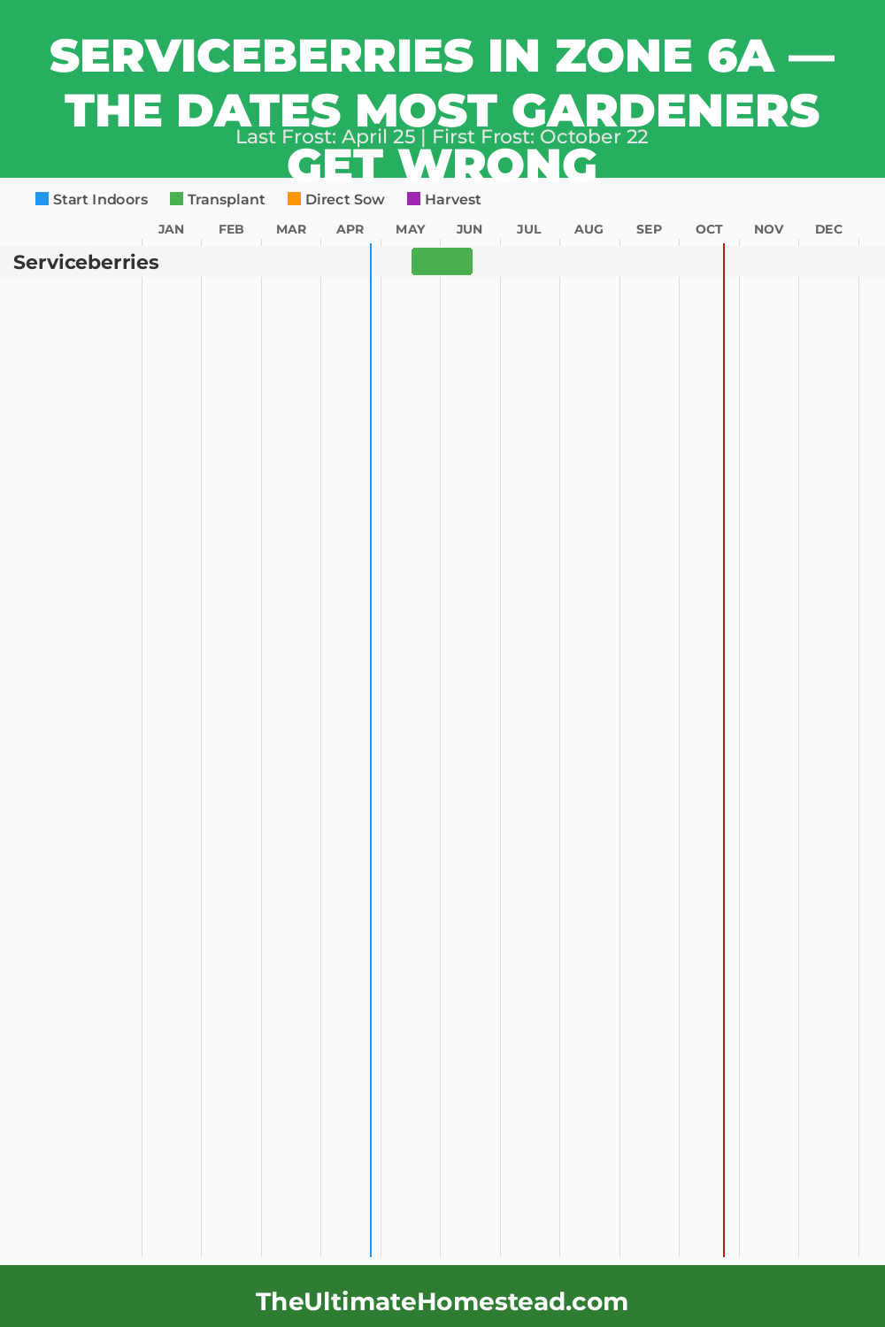 When to Plant Serviceberries in Zone 6a