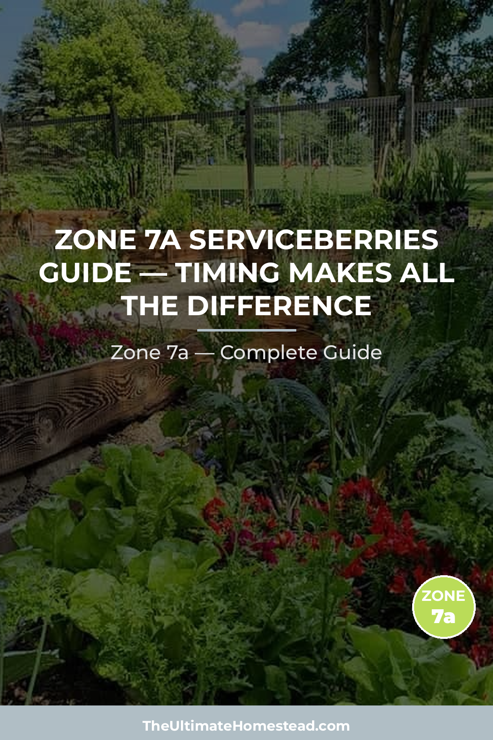 When to Plant Serviceberries in Zone 7a