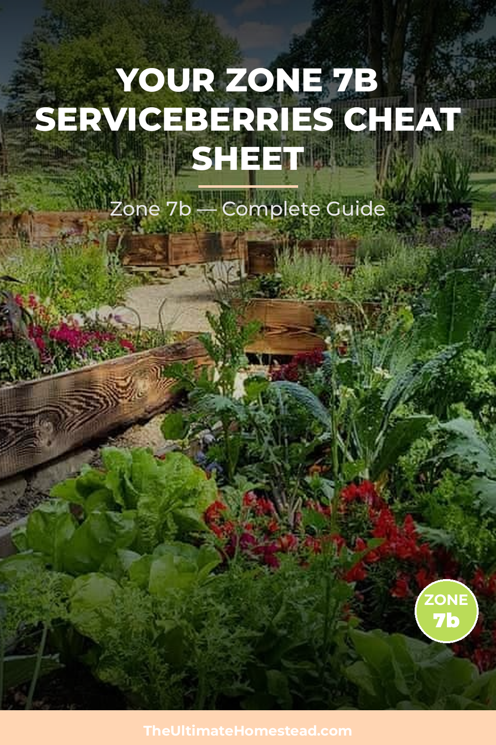 When to Plant Serviceberries in Zone 7b