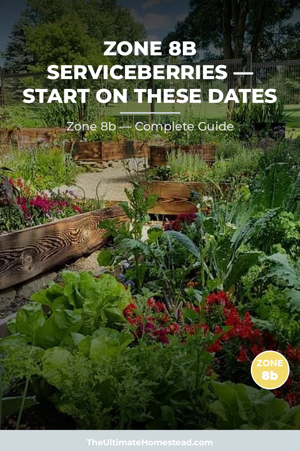 When to Plant Serviceberries in Zone 8b