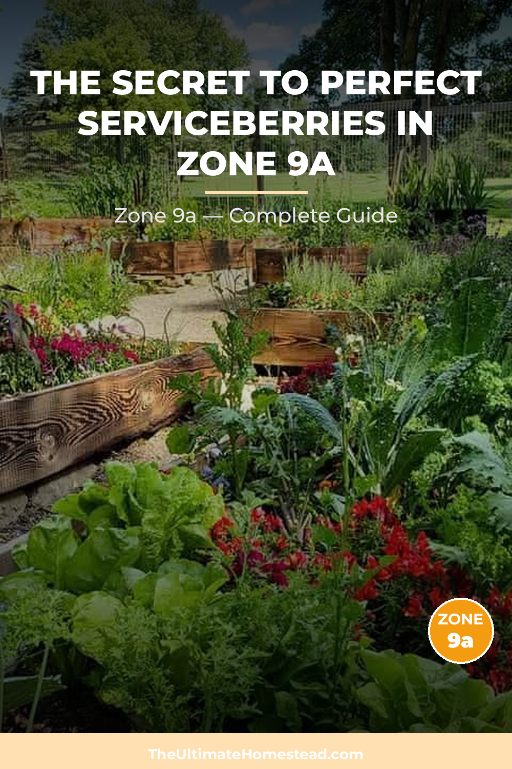 When to Plant Serviceberries in Zone 9a