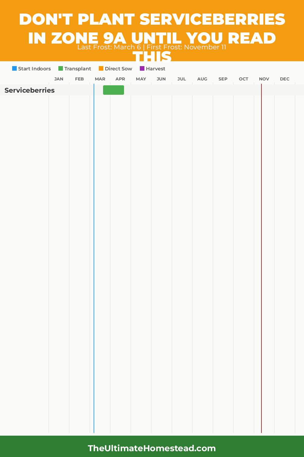 When to Plant Serviceberries in Zone 9a
