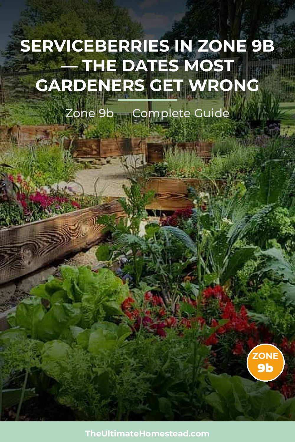 When to Plant Serviceberries in Zone 9b