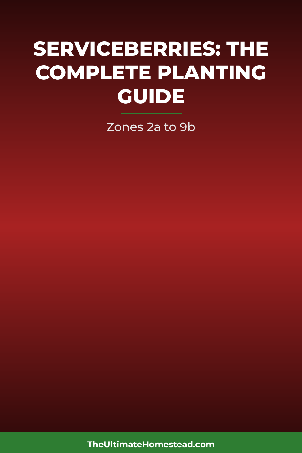 Serviceberries Planting Guide
