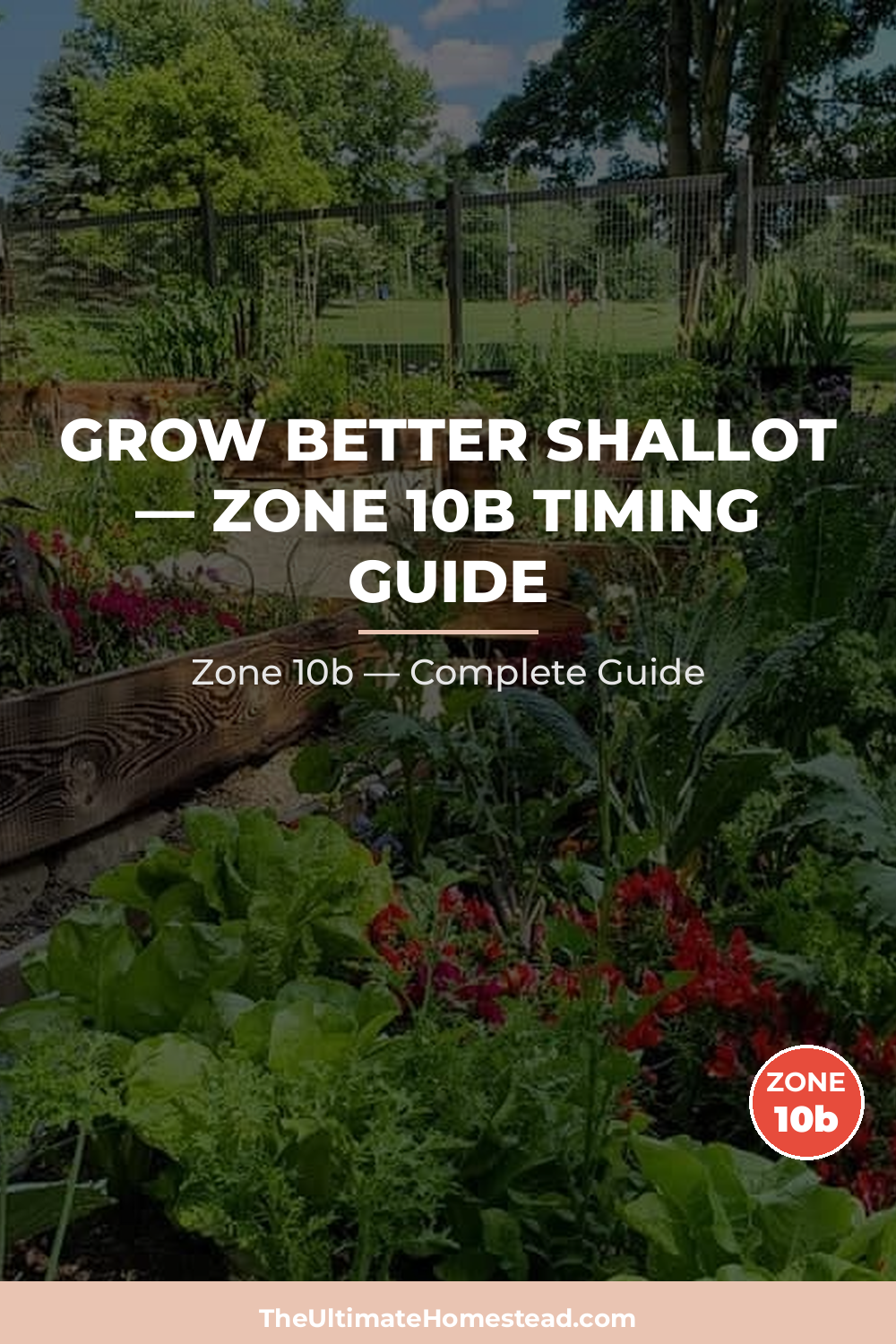 When to Plant Shallot in Zone 10b