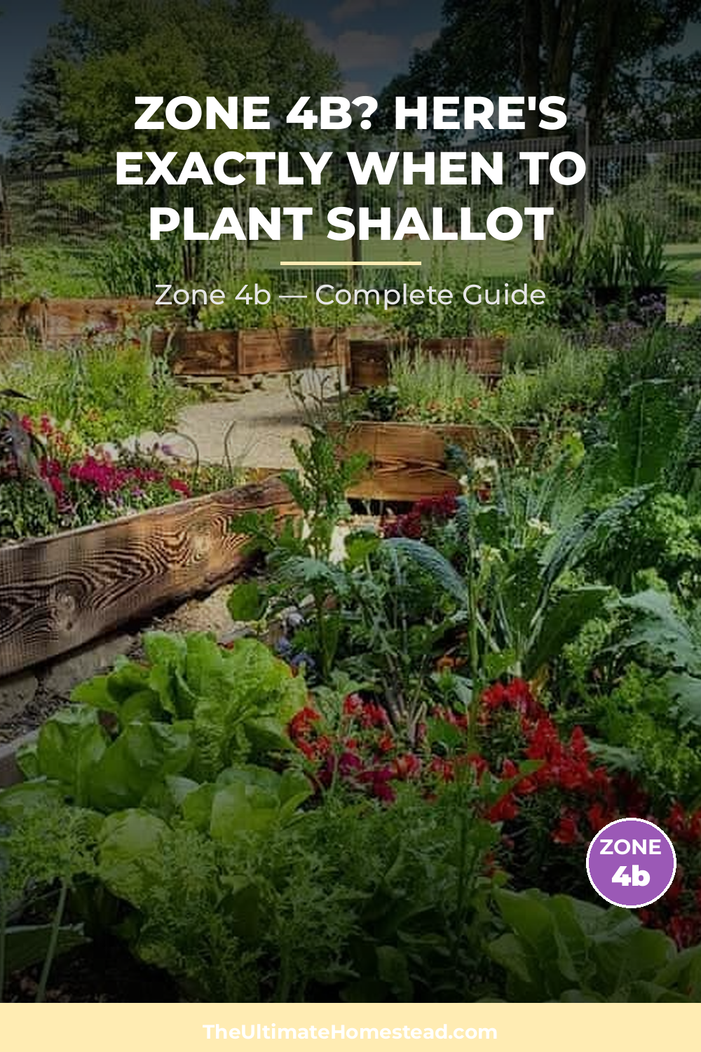 When to Plant Shallot in Zone 4b