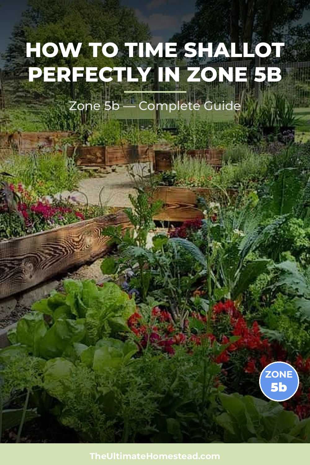 When to Plant Shallot in Zone 5b