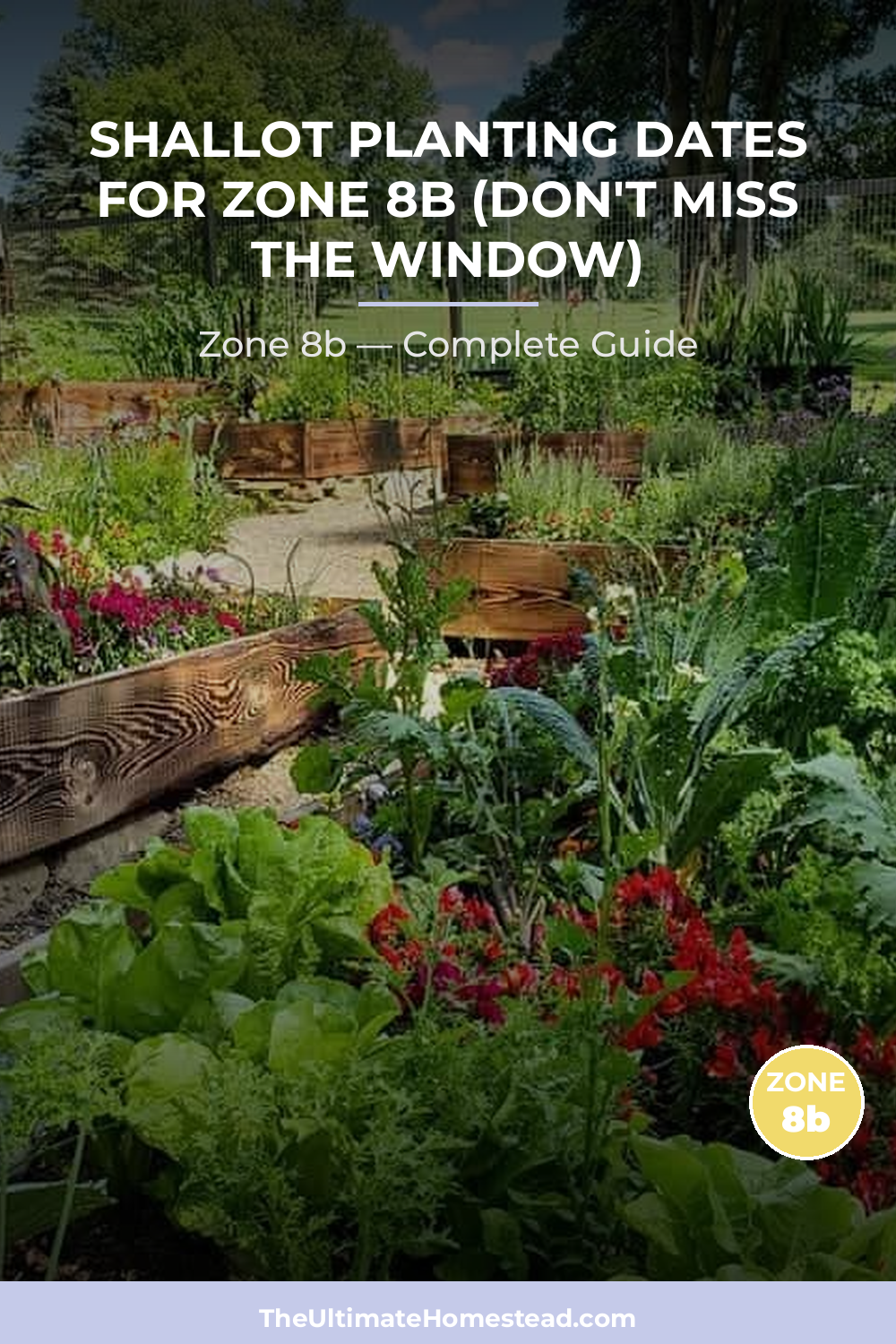 When to Plant Shallot in Zone 8b