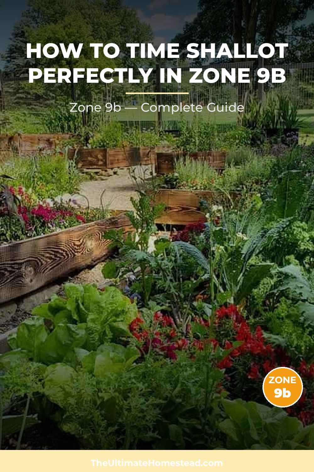 When to Plant Shallot in Zone 9b