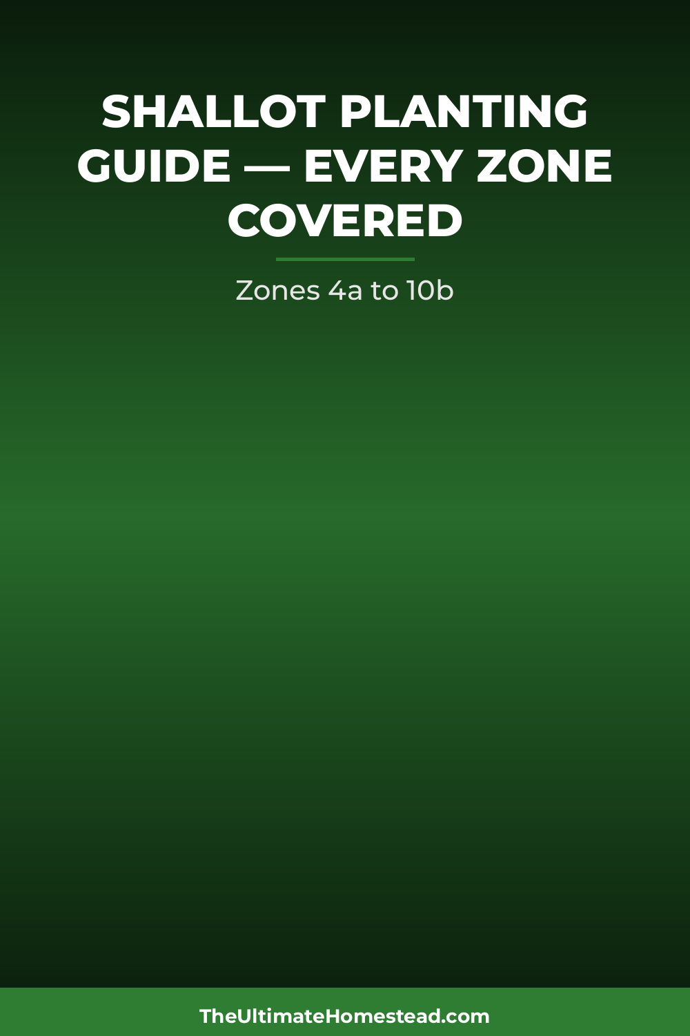 Shallot Planting Guide