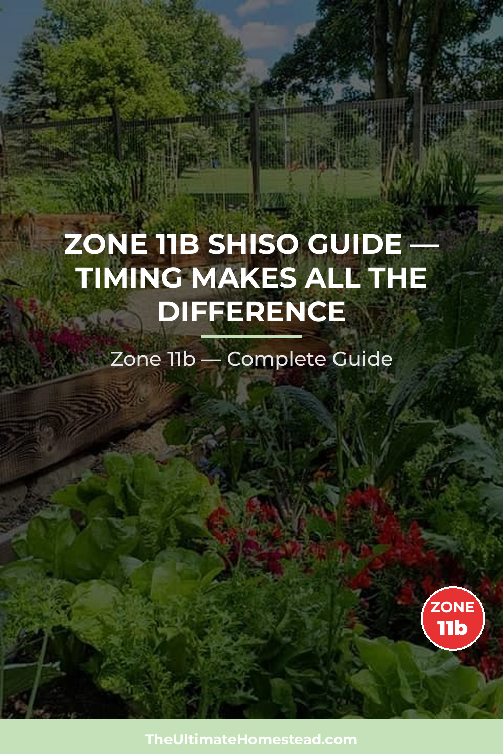 When to Plant Shiso in Zone 11b