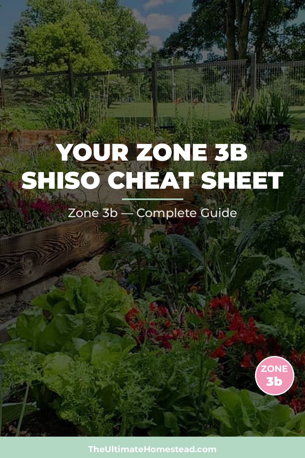 When to Plant Shiso in Zone 3b