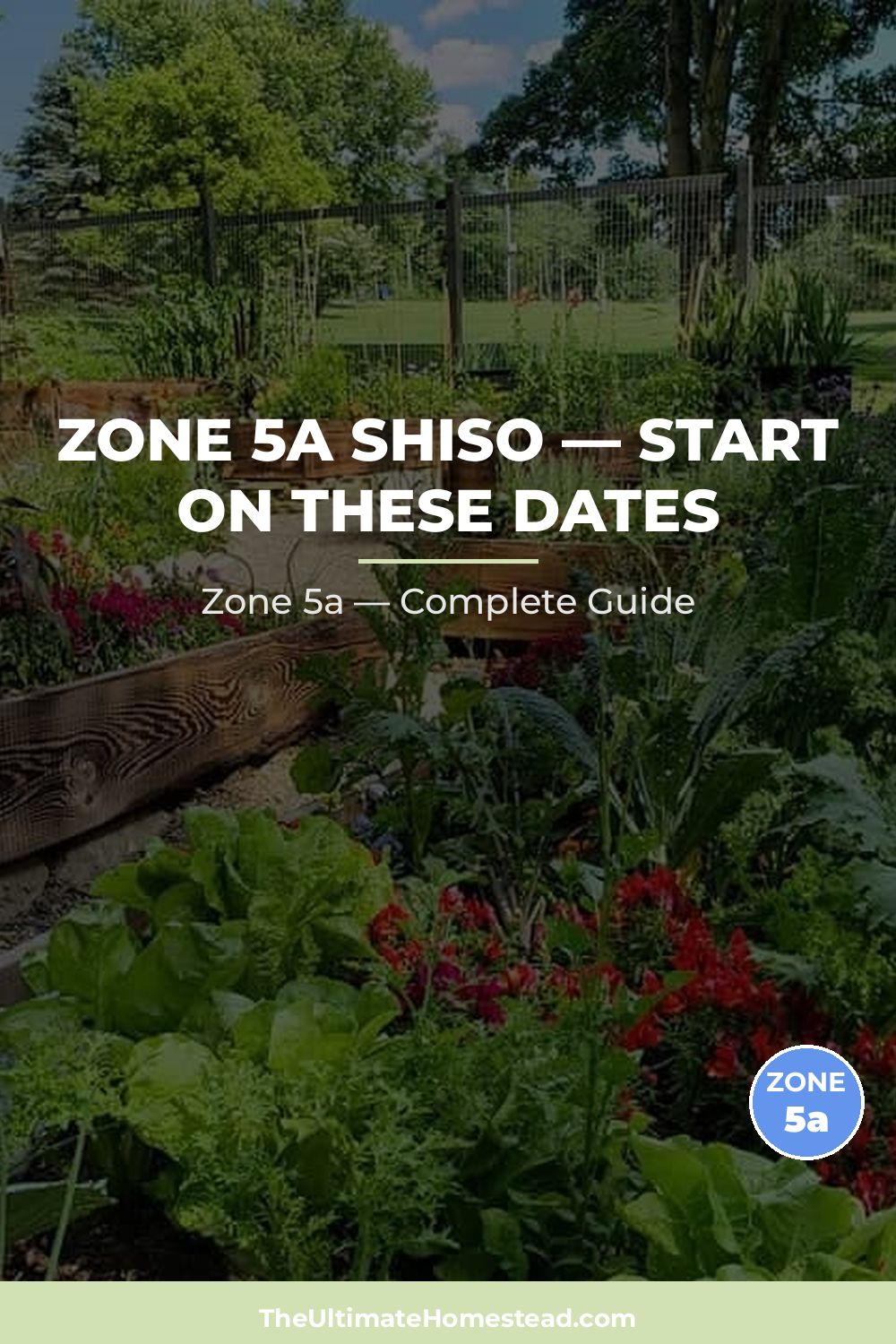 When to Plant Shiso in Zone 5a