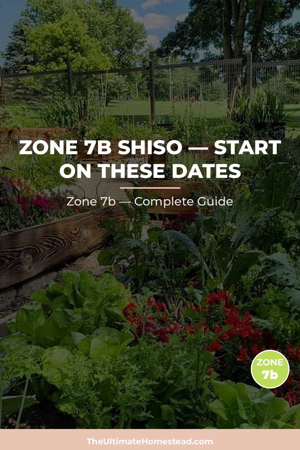 When to Plant Shiso in Zone 7b
