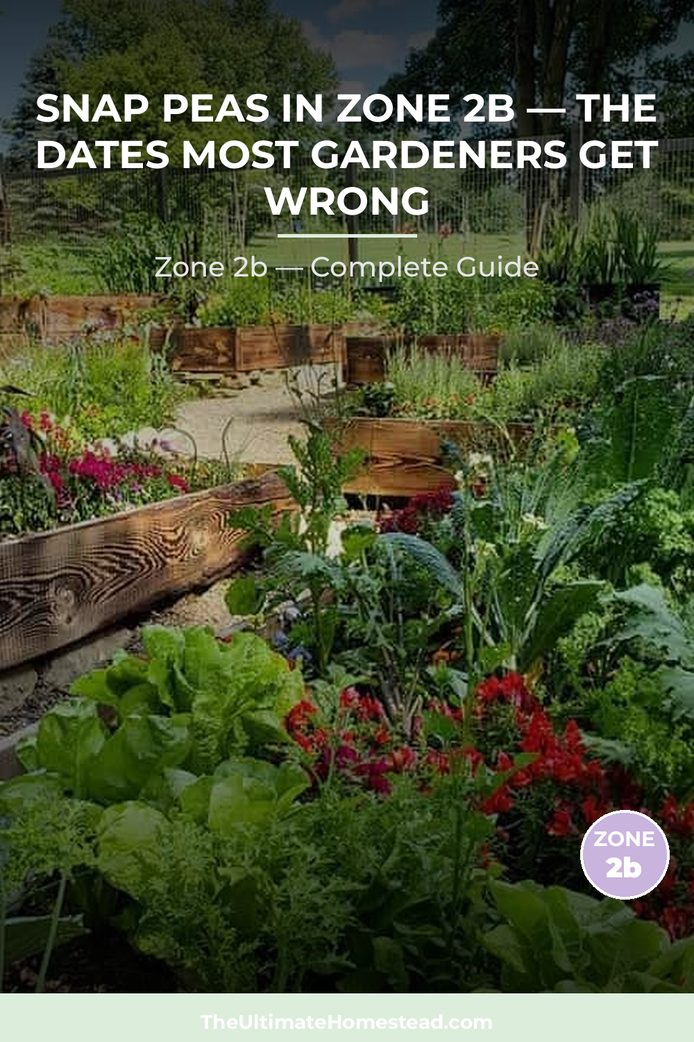 When to Plant Snap Peas in Zone 2b