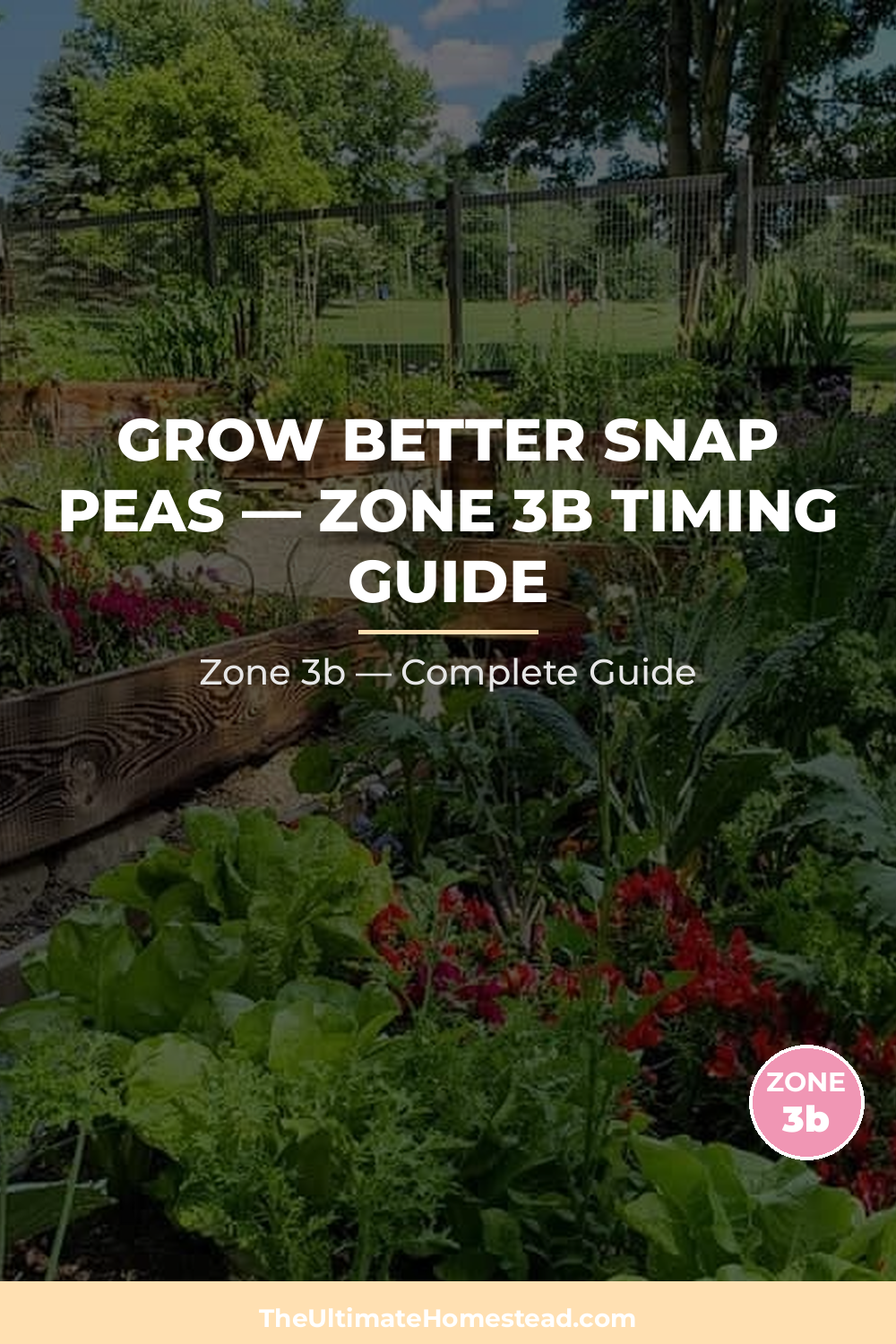 When to Plant Snap Peas in Zone 3b